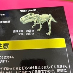 ナイトミュージアム2 恐竜発掘キット　非売品の画像