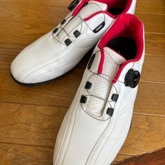 ミズノゴルフシューズ　mizuno LIGHT STYLE 28...