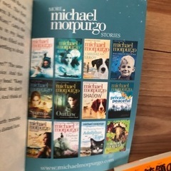 英語の本　The Butterfly Lionの画像