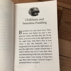 英語の本　The Butterfly Lionの画像