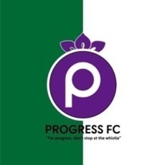 西三河区域の本気でサッカーしたい人を募集しています。