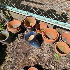 【取引中につき一旦募集停止】植木鉢たくさんの画像