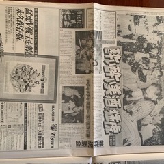 日刊スポーツ1985年阪神日本一11月3日日曜日の画像