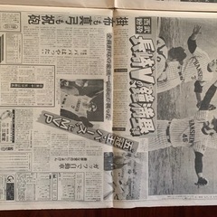 日刊スポーツ1985年阪神日本一11月3日日曜日の画像