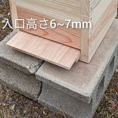 取引中 2個セット『日本蜜蜂　重箱式巣箱』の画像