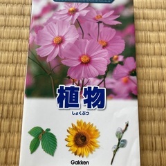 持ち運び便利な植物図鑑無料です。