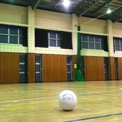 一緒に楽しくビニールバレーしませんか？