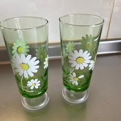 引き取り先決まりました