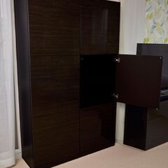IKEA BESTA