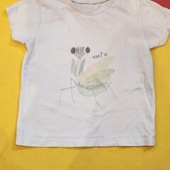 インセクトコレクション　カマキリ　Tシャツ