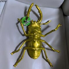 ノコギリクワガタ　フィギュアの画像