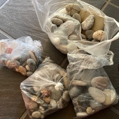 家具 インテリア雑貨/小物 置物、オブジェ