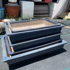 盆栽鉢の中古が安い！激安で譲ります・無料であげます(3ページ目