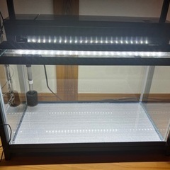 60cm水槽セットと45cm水槽