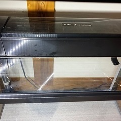 60cm水槽セットと45cm水槽の画像