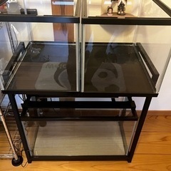 60cm水槽セットと45cm水槽の画像