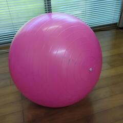 スポーツ フィットネス、トレーニング