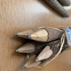 えんぴつ　天然の画像