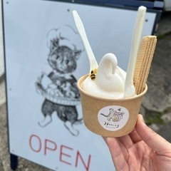 イベントに一緒に行きませんか？