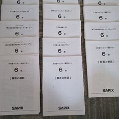 【最新2024年受験】SAPIX 6年 テスト1年分