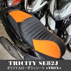 ★トリシティTRICITYオリジナルローダウンシート《張替&あん...