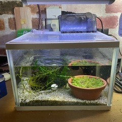 水槽