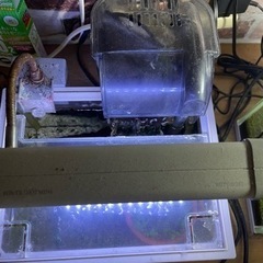水槽の画像