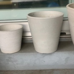 鉢植え①の画像