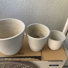 鉢植え①の画像