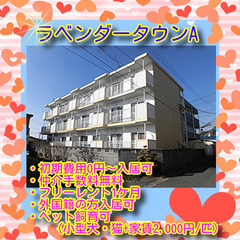🌸ラベンダータウンA3-A号室🌸初期費用0円～😲※入居時鍵交換代...