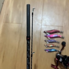 セフィアssの画像