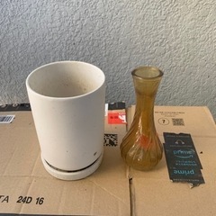 鉢植え⑥の画像