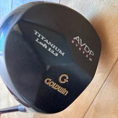 GOLDWIN ゴールドウイン　 ゴルフクラブ AVDP Lof...