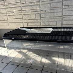 取引中⭐︎虫かご