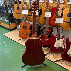 【愛品館八千代店】MORRIS　MW-80　アコースティックギターの画像