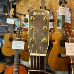 【愛品館八千代店】MORRIS　MW-80　アコースティックギターの画像