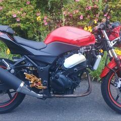 ニンジャ250R　後期　ネイキッド仕様　赤　(No.2141)