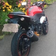 ニンジャ250R　後期　ネイキッド仕様　赤　(No.2141)の画像
