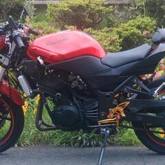 ニンジャ250R　後期　ネイキッド仕様　赤　(No.2141)の画像