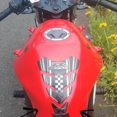ニンジャ250R　後期　ネイキッド仕様　赤　(No.2141)の画像
