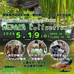 メダカコレクション5/19日