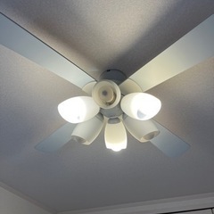家具 照明器具