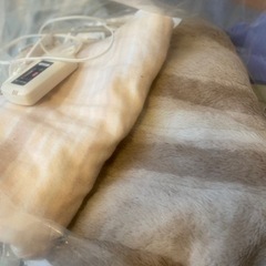 冬用の敷毛布、電気毛布セット 3枚程の画像