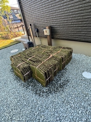 生活雑貨 家庭用品 ガーデニング