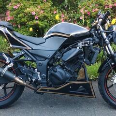 ニンジャ250R　後期　ネイキッド仕様　黒　(No.2146)