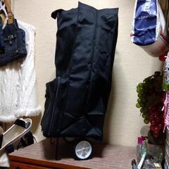 横須賀🆗沢山入る超コンパクト  ショッピングカートの画像