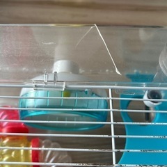 ハムスター　ゲージ　飼育セットの画像