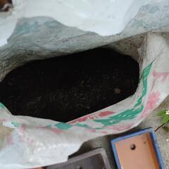 ガーデニング用品 差し上げます!　　植木鉢の画像