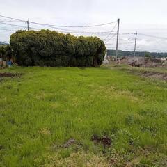私と農業やりませんか？