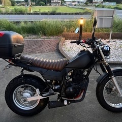 TW225の画像